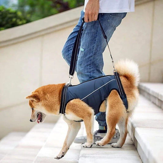Dog Lift Harness 