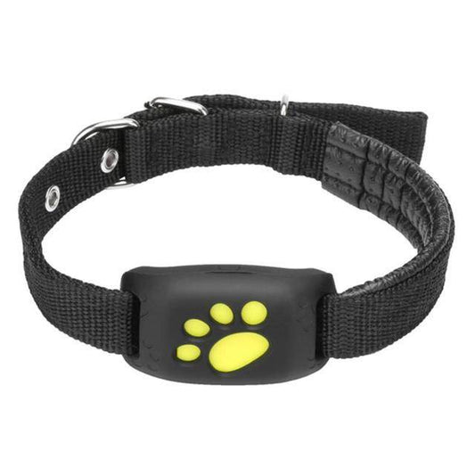 Pet GPS Tracking Collar